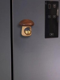 Decoration Magnet For Home